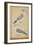 Hoopoes, C.1590-null-Framed Giclee Print