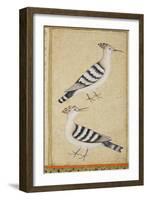 Hoopoes, C.1590-null-Framed Premium Giclee Print