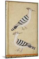 Hoopoes, C.1590-null-Mounted Premium Giclee Print