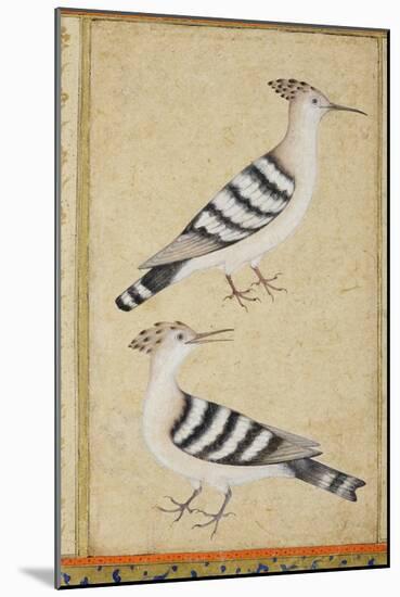 Hoopoes, C.1590-null-Mounted Premium Giclee Print