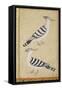 Hoopoes, C.1590-null-Framed Stretched Canvas