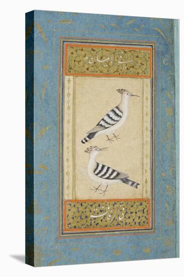 Hoopoes, C.1590-null-Stretched Canvas