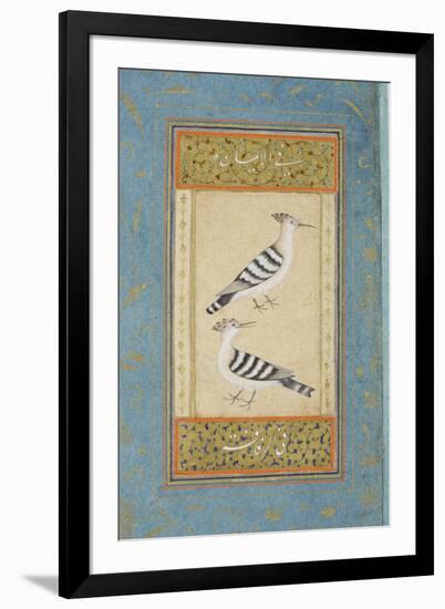 Hoopoes, C.1590-null-Framed Giclee Print