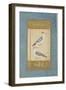 Hoopoes, C.1590-null-Framed Giclee Print