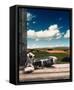 Framed Canvas