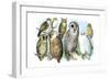 Hoot of Owls-Theodore Jasper-Framed Art Print