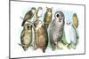 Hoot of Owls-Theodore Jasper-Mounted Art Print