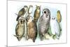 Hoot of Owls-Theodore Jasper-Mounted Art Print