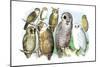 Hoot of Owls-Theodore Jasper-Mounted Premium Giclee Print