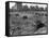 Hooverville in Central Park 1933-null-Framed Stretched Canvas