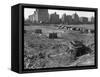 Hooverville in Central Park 1933-null-Framed Stretched Canvas