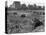 Hooverville in Central Park 1933-null-Stretched Canvas