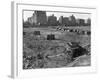 Hooverville in Central Park 1933-null-Framed Photographic Print