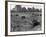 Hooverville in Central Park 1933-null-Framed Photographic Print