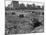 Hooverville in Central Park 1933-null-Mounted Photographic Print