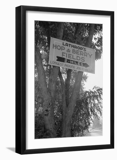 Hop and Berry Fields-Dorothea Lange-Framed Art Print