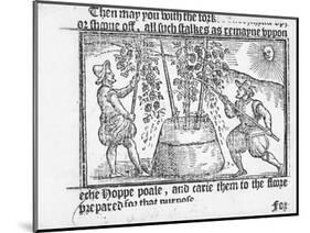 Hop Cultivation, from 'Vade Mecum, a Perfite Platform of a Hoppe Garden' by Reynolde Scot, 1576-English-Mounted Premium Giclee Print