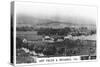 Hop Fields and Orchards, Tasmania, Australia, 1928-null-Stretched Canvas