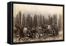 Hop Fields Near Olympia (ca. 1889)-null-Framed Stretched Canvas