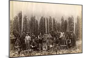 Hop Fields Near Olympia (ca. 1889)-null-Mounted Giclee Print