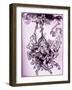 'Hop-Frog' by Edgar Allan Poe-Arthur Rackham-Framed Giclee Print