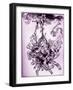 'Hop-Frog' by Edgar Allan Poe-Arthur Rackham-Framed Giclee Print