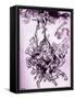 'Hop-Frog' by Edgar Allan Poe-Arthur Rackham-Framed Stretched Canvas