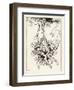 Hop Frog-Arthur Rackham-Framed Art Print