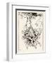 Hop Frog-Arthur Rackham-Framed Art Print