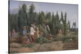 Hop Garden, 1858-Thomas Webster-Stretched Canvas