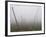 Hop Garden in the Hallertau, Autumn, Fog-Harald Kroiss-Framed Photographic Print