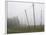 Hop Garden in the Hallertau, Autumn, Fog-Harald Kroiss-Framed Photographic Print