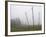 Hop Garden in the Hallertau, Autumn, Fog-Harald Kroiss-Framed Photographic Print