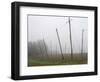 Hop Garden in the Hallertau, Autumn, Fog-Harald Kroiss-Framed Photographic Print