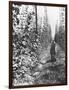 Hop-Growing in Alsace, c.1900-French Photographer-Framed Photographic Print