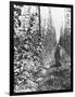 Hop-Growing in Alsace, c.1900-French Photographer-Framed Photographic Print