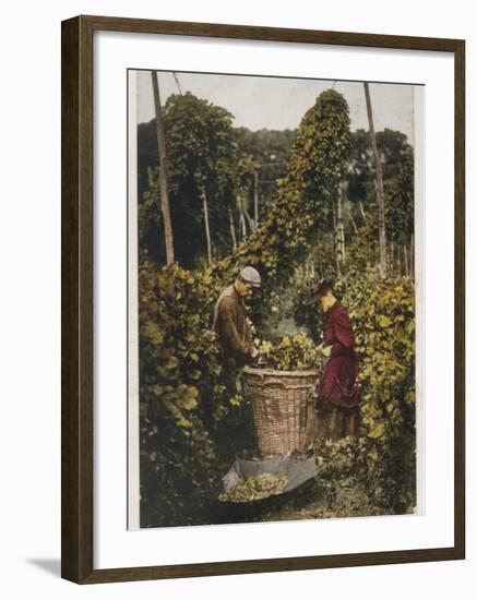 Hop Pickers 1907-null-Framed Photographic Print