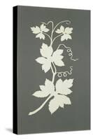 Hop plant-Philipp Otto Runge-Stretched Canvas