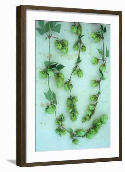 Hop Skip-Den Reader-Framed Photographic Print