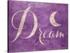 Hope and Dream II-Patricia Pinto-Stretched Canvas