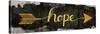 Hope Arrow-N. Harbick-Stretched Canvas