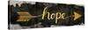 Hope Arrow-N. Harbick-Stretched Canvas