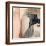 Brown Frame