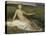 Hope, c.1872-Pierre Puvis de Chavannes-Stretched Canvas