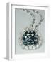 Hope Diamond White-null-Framed Photographic Print