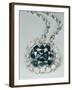 Hope Diamond White-null-Framed Photographic Print