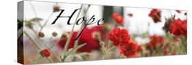 Hope Flowers-Nicole Katano-Stretched Canvas