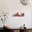 Hope Flowers-Nicole Katano-Photo displayed on a wall