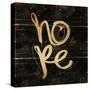 Hope Gold-Enrique Rodriguez Jr.-Stretched Canvas