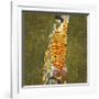 Hope II, 1907-1908-Gustav Klimt-Framed Premium Giclee Print